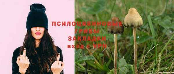марки nbome Кукмор