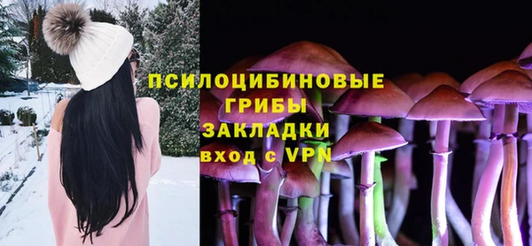 бошки Ладушкин
