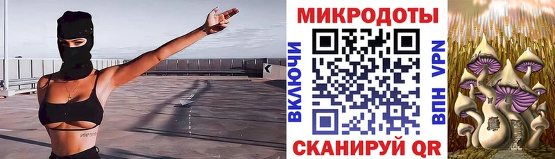 Псилоцибиновые грибы Psilocybe Красноармейск