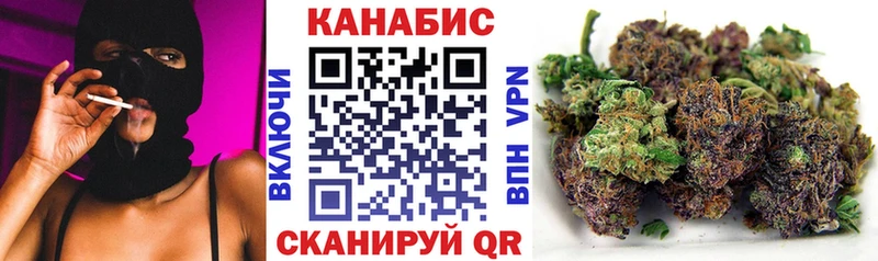 Конопля план  Красноармейск 